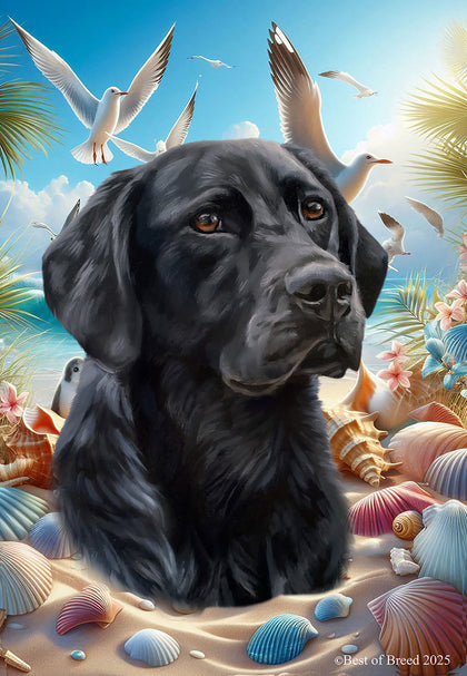 Products for Summertime!