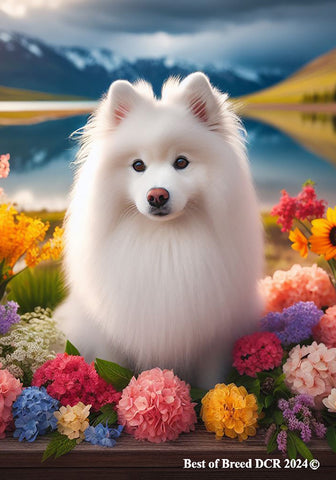 American Eskimo -  Best of Breed DCR Spring House and Garden Flag