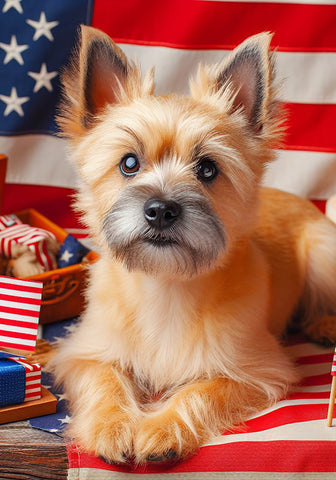 Cairn Terrier Wheat - Best of Breed DCR Patriotic I Outdoor Flag