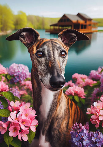 Greyhound Brindle - Best of Breed DCR Spring Outdoor Flag