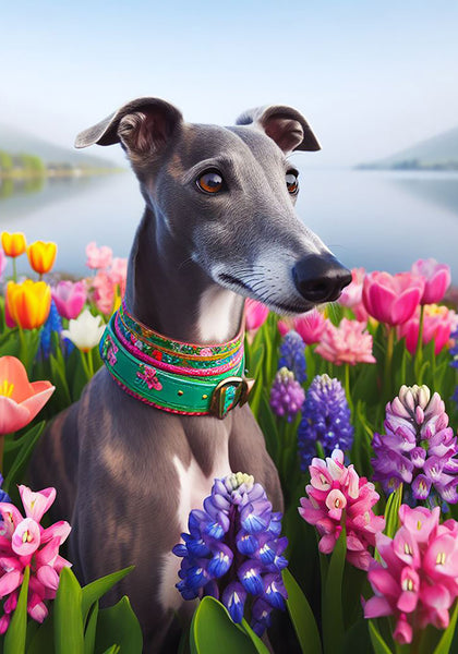 Greyhound Grey - Best of Breed DCR Spring Outdoor Flag