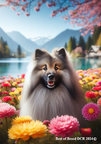 Keeshond -  Best of Breed DCR Spring House and Garden Flag