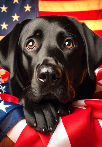 Black Labrador - Best of Breed DCR Patriotic I Outdoor Flag