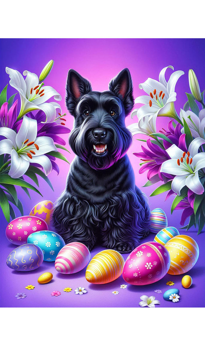 Scotty Black Best Of Breed DCR Easter Holiday Outdoor House And Gard scotty-black-best-of-breed-dcr-easter-holiday-outdoor-house-and-gard