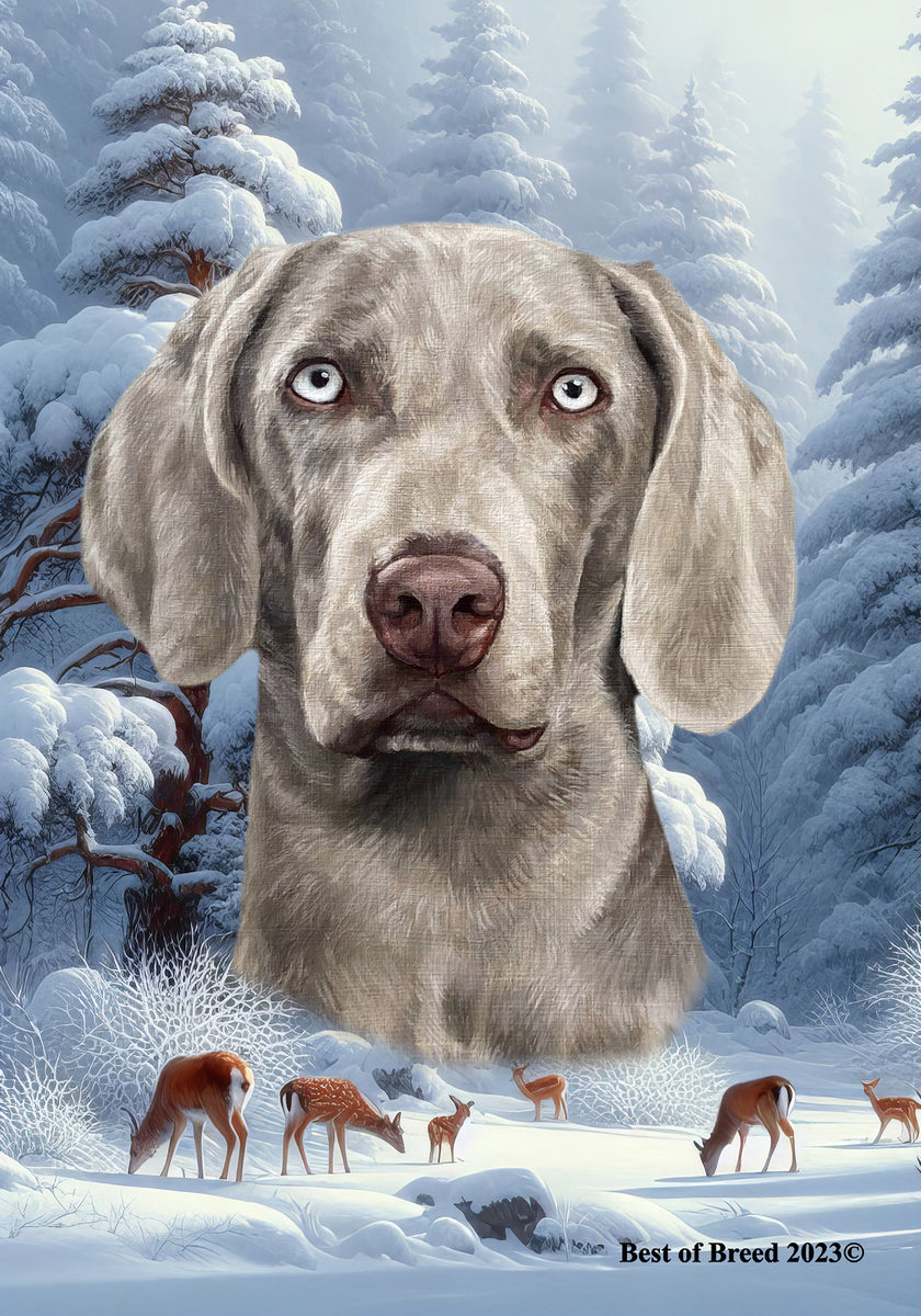 Picture of Weimeraner - Best of Breed Winter Wonderland Outdoor House and Garden