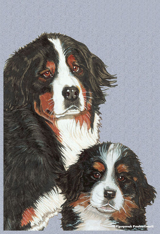 Bernese  - Best of Breed Pipsqueak Productions Outdoor Flag