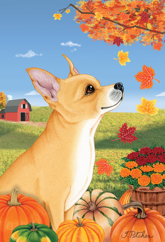 Chihuahua Tan - Tomoyo Pitcher Autumn Leaves Outdoor Flag