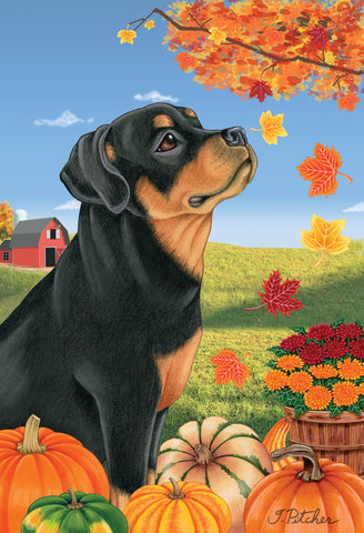 Rottweiler- Tomoyo Pitcher Autumn Leaves Outdoor Flag