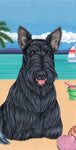 Scottie - Best of Breed Terry Velour Microfiber Beach Towel 30" x 60"