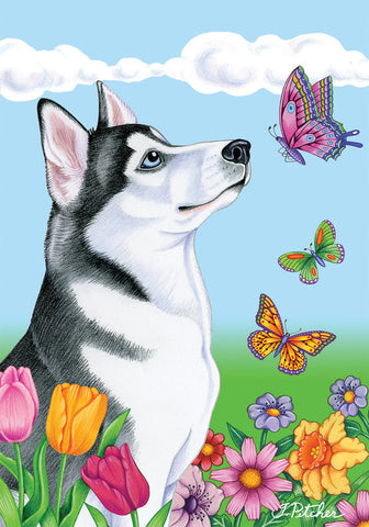 Siberian Husky Black/White- Best of Breed Butterfly Garden Flag 12" x 17"