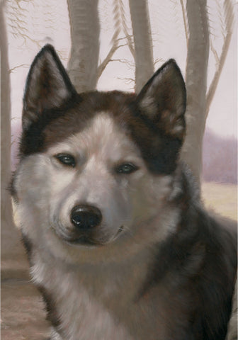 Siberian Husky Black/White- Best of Breed Portrait   Outdoor Flag