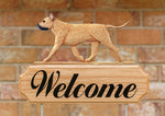 American Staffordshire Terrier  Fawn - Michael Park Collection Dog in Gait Welcome Stake