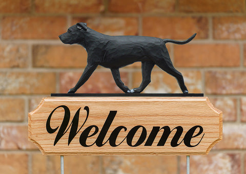 American Staffordshire Terrier  Natural Ears Black - Michael Park Collection Dog in Gait Welcome Stake