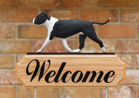 American Staffordshire Terrier  Natural Ears Black White - Michael Park Collection Dog in Gait Welcome Stake