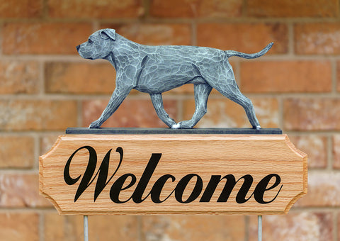 American Staffordshire Terrier  Natural Ears Blue - Michael Park Collection Dog in Gait Welcome Stake