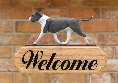 American Staffordshire Terrier  Natural Ears Blue White - Michael Park Collection Dog in Gait Welcome Stake