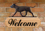 American Staffordshire Terrier  Natural Ears Brindle - Michael Park Collection Dog in Gait Welcome Stake