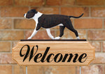 American Staffordshire Terrier  Natural Ears Brindle White - Michael Park Collection Dog in Gait Welcome Stake