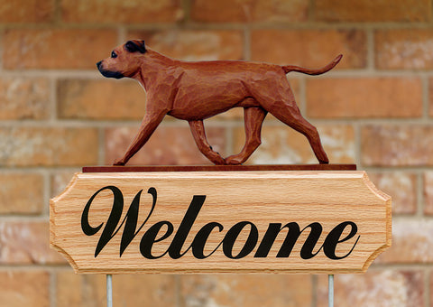 American Staffordshire Terrier  Natural Ears Red - Michael Park Collection Dog in Gait Welcome Stake