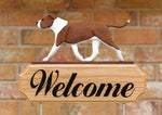 American Staffordshire Terrier  Natural Ears Red and White - Michael Park Collection Dog in Gait Welcome Stake