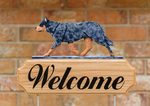 Australian Cattle Dog  Blue  - Michael Park Collection Dog in Gait Welcome Stake