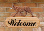 Australian Cattle Dog  Red - Michael Park Collection Dog in Gait Welcome Stake