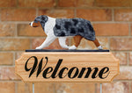 Australian Shepherd Blue Merle - Michael Park Collection Dog in Gait Welcome Stake