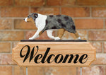 Australian Shepherd Red Merle - Michael Park Collection Dog in Gait Welcome Stake