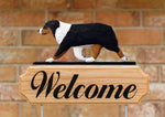 Australian Shepherd Black Tri  - Michael Park Collection Dog in Gait Welcome Stake