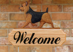 Australian Terrier Black and Tan  - Michael Park Collection Dog in Gait Welcome Stake