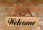 Australian Terrier Red - Michael Park Collection Dog in Gait Welcome Stake