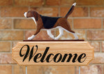 Beagle Tri - Michael Park Collection Dog in Gait Welcome Stake