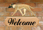 Belgian Malinois Fawn - Michael Park Collection Dog in Gait Welcome Stake