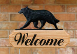 Belgian Sheepdog - Michael Park Collection Dog in Gait Welcome Stake