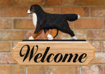 Bernese Mountain Dog - Michael Park Collection Dog in Gait Welcome Stake