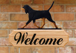 Black and Tan Coonhound - Michael Park Collection Dog in Gait Welcome Stake