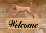 Bloodhound Red - Michael Park Collection Dog in Gait Welcome Stake