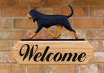 Bloodhound Black and Tan - Michael Park Collection Dog in Gait Welcome Stake