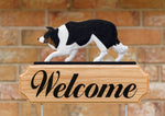 Border Collie Black Tri - Michael Park Collection Dog in Gait Welcome Stake