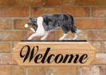 Border Collie Blue Merle -  Michael Park Collection Dog in Gait Welcome Stake