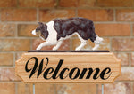 Border Collie Red Merle - Michael Park Collection Dog in Gait Welcome Stake