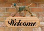 Border Terrier Grizzle - Michael Park Collection Dog in Gait Welcome Stake