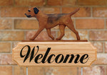 Border Terrier Red - Michael Park Collection Dog in Gait Welcome Stake