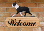 Boston Terrier Brindle - Michael Park Collection Dog in Gait Welcome Stake