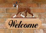 Boxer Fawn - Michael Park Collection Dog in Gait Welcome Stake