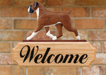 Boxer Natural Ears Fawn - Michael Park Collection Dog in Gait Welcome Stake