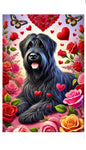 Briard Black - Best of Breed DCR Valentines Day Outdoor House and Garden Flag