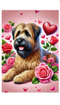 Briard Fawn - Best of Breed DCR Valentines Day Outdoor House and Garden Flag