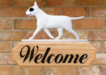 Bull Terrier White Patch - Michael Park Collection Dog in Gait Welcome Stake