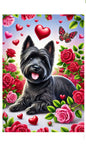 Cairn Terrier Black - Best of Breed DCR Valentines Day Outdoor House and Garden Flag